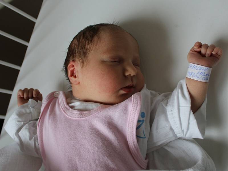 Karolína Kasalová se narodila  v ústecké porodnici 6.3. 2017 (9.30) Michaele Kasalové. Vážila 3,7 kg.