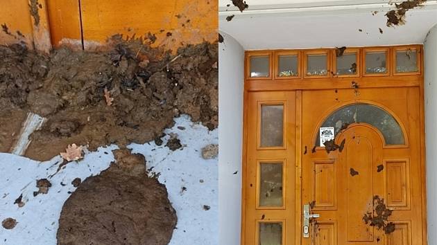 Fasádu a vstupní dveře domu v ústecké ulici Elišky Krásnohorské pokryly výkaly.