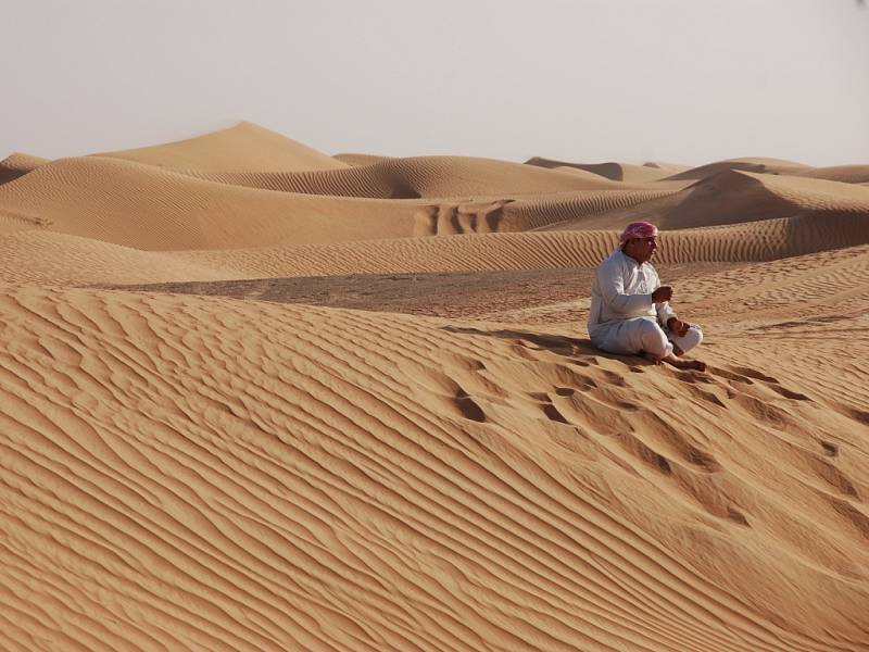 Z projížďky se šejkem po písečných dunách na dovolené v Dubaji ve Spojených arabských emirátech si tento snímek přivezl Ladislav Pertl z Teplic.