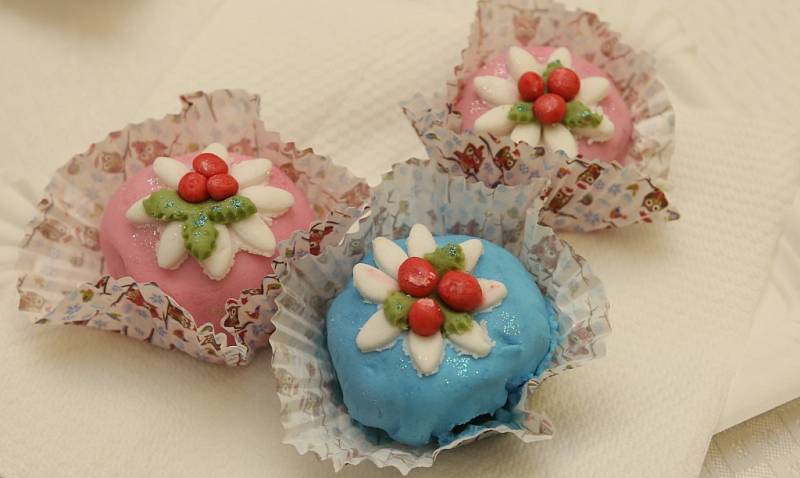 Vánoční cukroví vonělo ve středu ve Střední škole obchodu, řemesel a služeb v Krásném Březně. 