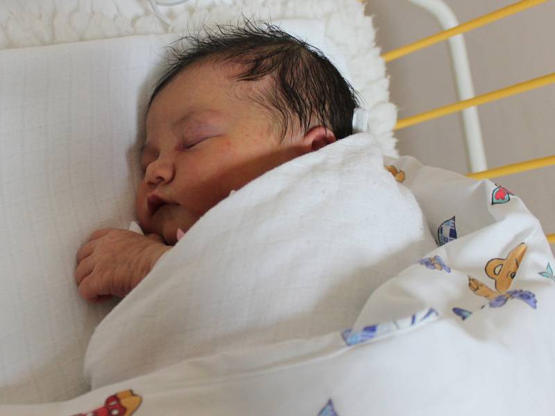 Izabel Holubková se narodila v ústecké porodnici 22.11.2016 (9.12) Drahomíře Holubkové. Měřila 52 cm, vážila 3,45 kg.
