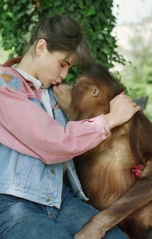 Ústecký orangutan a poslední Miss Československa Pavlína Babůrková v roce 1992.