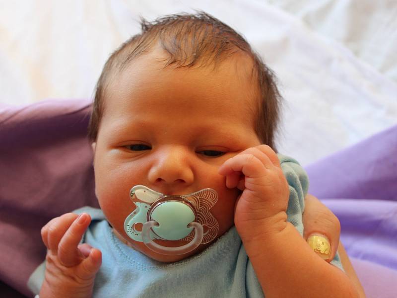 Maxim Mazourek se narodil v ústecké porodnici 2.5.2016 (21.49) Iloně Mazourkové. Měřil 51 cm, vážil 3,82 kg. 