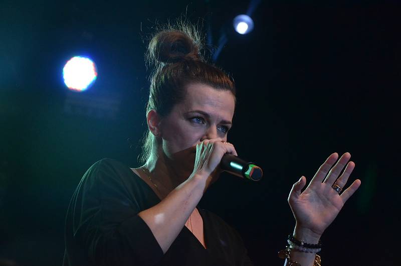 Marta Jandová bavila už v únoru 2017 v Ústí nad Labem Ples severočeských patriotů.