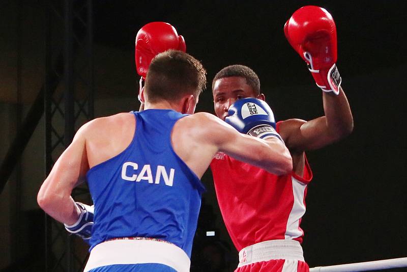 Velká cena Ústí nad Labem v boxu 2019.