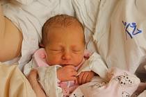 Nela Vencová se narodila Zuzaně Vencové z Ústí nad Labem 22. prosince ve 22.25 hod. Měřena nebyla, vážila 2,59 kg