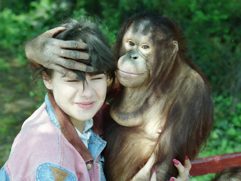 Ústecký orangutan a poslední Miss Československa Pavlína Babůrková v roce 1992.