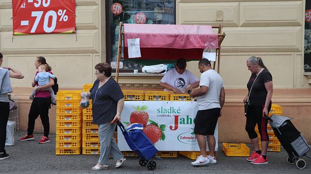 V ulicích Ústí nad Labem se začaly prodávat vyhlášené svádovské jahody.