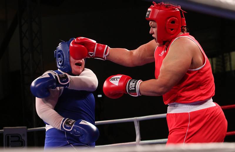 Velká cena Ústí nad Labem v boxu 2019.