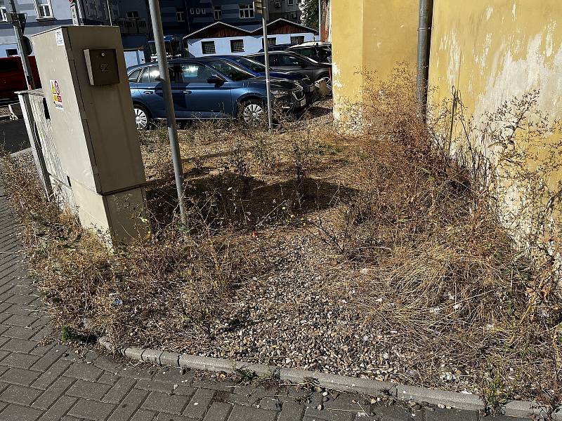 Pořádek v centru města záleží i na chování jeho obyvatel. Například jestli budou používat koše, nebo zda po prohýřené noci neodhodí obaly od svačiny do fontány a nedopalky na chodník.