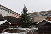 V neděli bude rozsvícen vánoční strom na Lidickém náměstí v Ústí nad Labem.