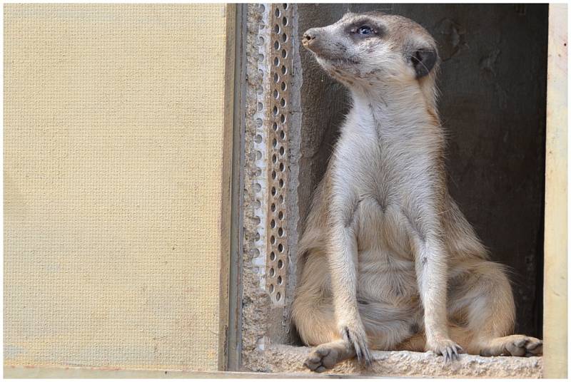 Návštěva ústecké zoo.