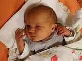 Eliška Podaná se narodila Evě Podané z Trmic 4. listopadu v 9.50 hodin v Ústí nad Labem. Měřena nebyla, vážila 3,11 kg