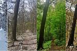 Střížovický vrch v Ústí nad Labem v různých částech roku. Zima, jaro, léto a podzim.