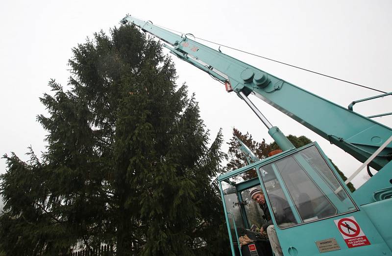 Ve středu 21. listopadu ráno byl pokácen v Mojžíři smrk ze soukromé zahrady, aby záhy skončil jako vánoční strom na Mírovém náměstí v Ústí nad Labem.