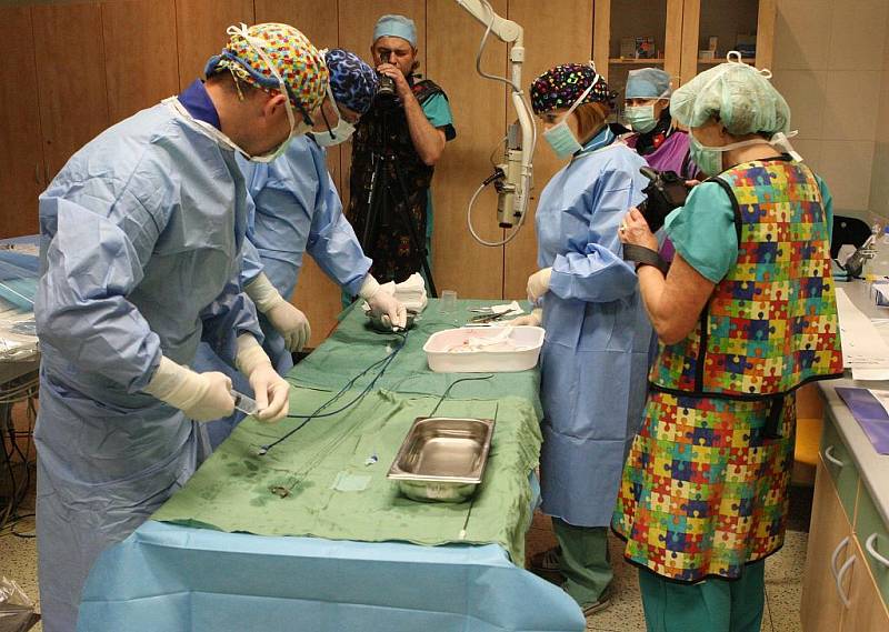 Tým specialistů Kliniky kardiologie Masarykovy nemocnice Ústí nad Labem ukázal během druhé operace v pořadí účastníkům 8. Kardiologického dne úspěšně provedenou uzávěru ouška levé srdeční síně pacientky.