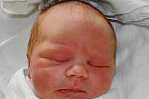 Pavla Farkašová se narodila  Pavle Farkašové z Novosedlic 28. listopadu  ve 14.55  hod. v teplické porodnici. Měřila 54 cm a vážila 4,1 kg.