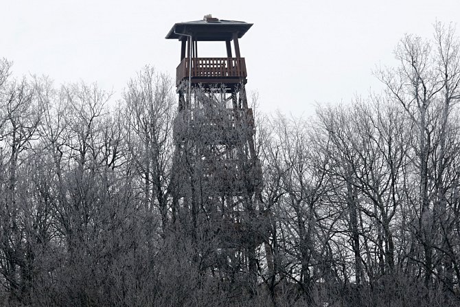 Dřevěná rozhledna poblíž Tašova je připravena ke kolaudaci. Celou konstrukci vyrobil tesař Martin Andráš ze Žitenic