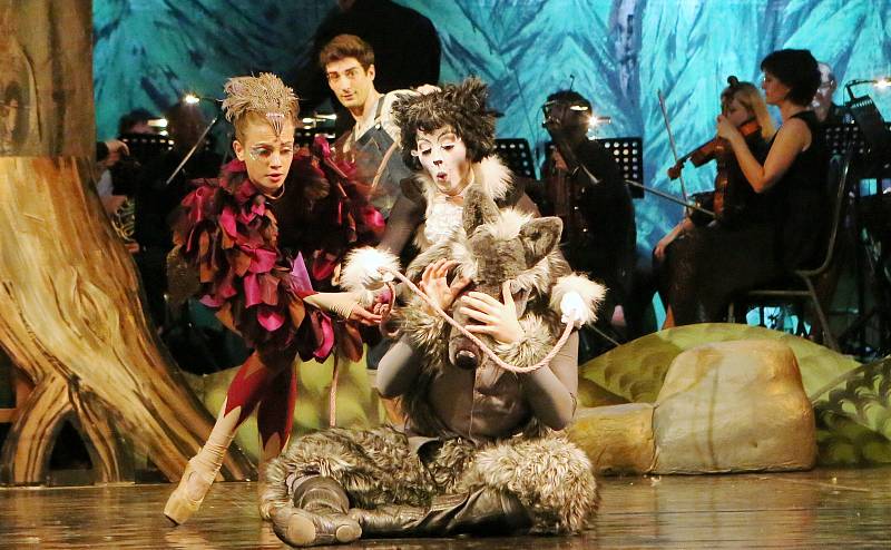 Symfonická pohádka Péťa a vlk s hudbou Sergeje Prokofjeva v podání ústeckého divadla.