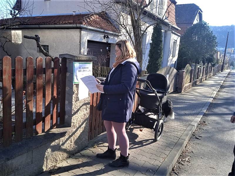 Před základní školou Vojnovičova v Ústí nad Labem se má vykácet alej padesát let starých lísek tureckých. Některým místním lidem se to nelíbí podepisují petici. Kácet se mělo začít v pondělí 14. března, nakonec to ČIŽP pozastavila.