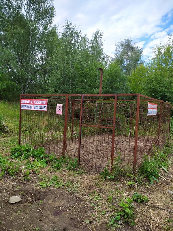 Odchytové klece na divoká prasata v Ústí nad Labem