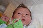 Štěpán Hamšík, se narodil v ústecké porodnici dne 3. 3. 2013 (15.03) mamince Petře Hamšíkové, měřil 54 cm, vážil 4,22 kg. 