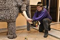 Radim Neuvirt při akci u mamuta v muzeu. 