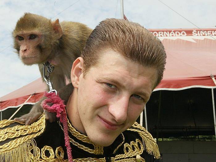 Do Ústí nad Labem zavítal cirkus Šimek. Jeho spolumajitel Josef Šimek ukazuje cvičené opičky a velblouda.