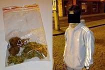 Strážníci našli u mladíka mimo jiné igelitový pytlík se zřejmě sušenou marihuanou