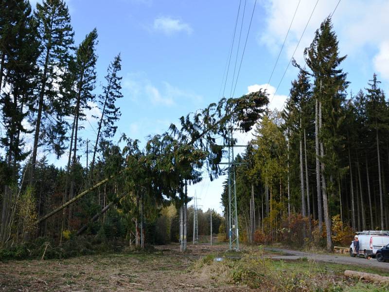 Škody na zařízení energetiků přesáhly 71 milionů korun.