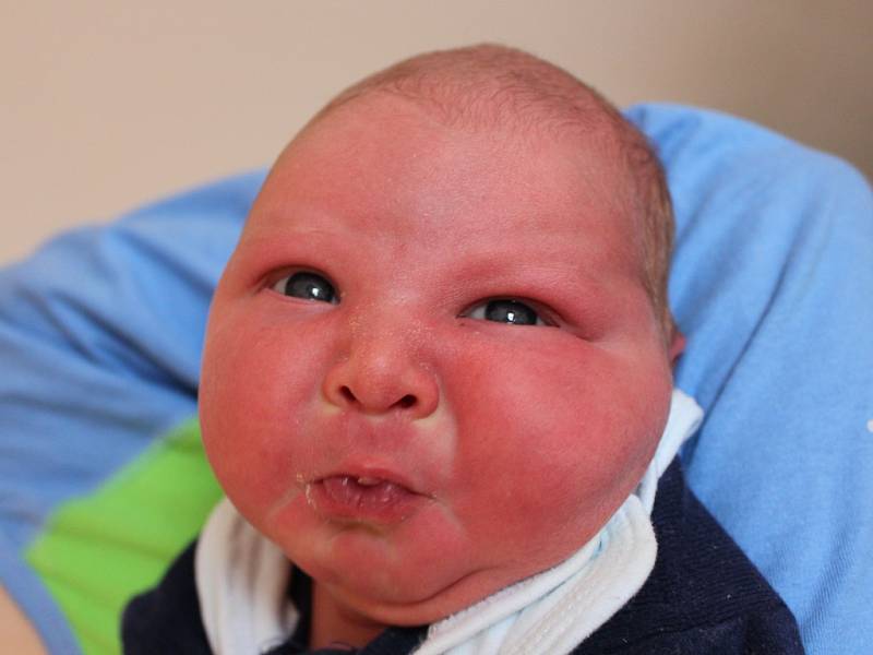 Josef Bradáč se narodil v ústecké porodnici 23.4.2016 (20.00) Nikole Krauzové. Měřil 51 cm, vážil  4,40 kg. 