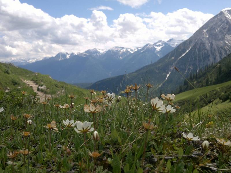 Olympijský region Seefeld. 