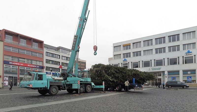Instalace vánočního stromu na Mírovém náměstí v Ústí.