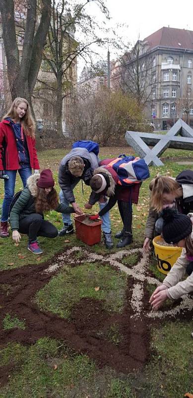 Cibulky žlutých krokusů vysadili školáci ZŠ Elišky Krásnohorské z Ústí nad Labem u památníku obětem holocaustu v ústeckých Městských sadech.