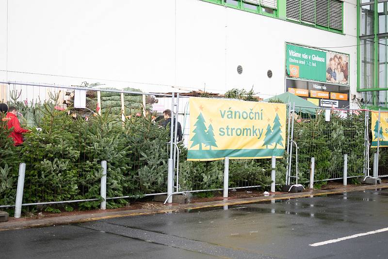 Prodej vánočních stromů v Ústí nad Labem