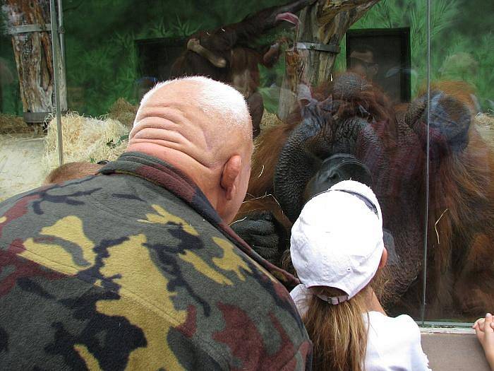 Slavnostní otevření pavilonu orangutanů