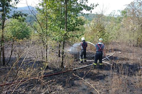 Požár lesa v Neštěmicích způsobilo vypalování kabelů na ohništi