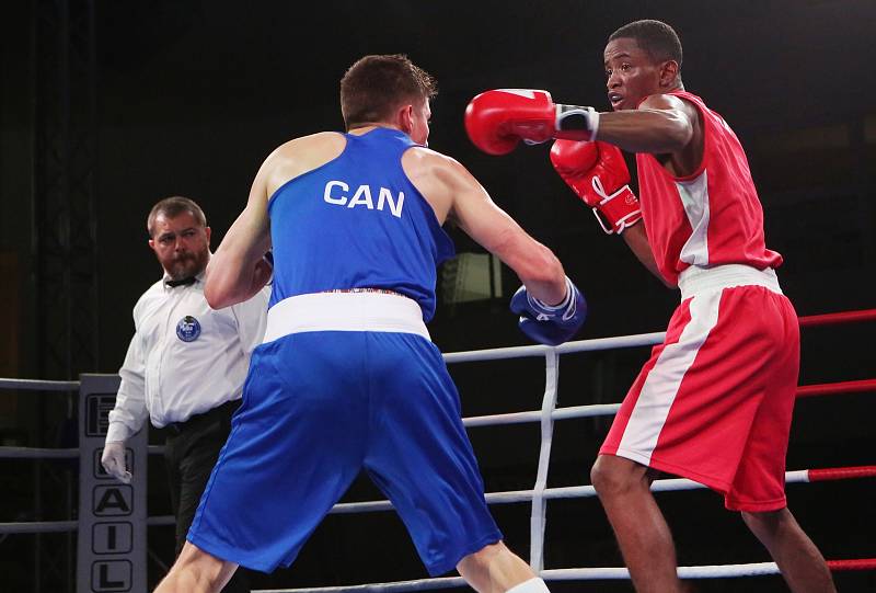 Velká cena Ústí nad Labem v boxu 2019.