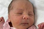 Sofie Zdeňková se narodila 19. listopadu ve 12.43 hodin mamince Monice Havlíčkové z Litvínova.  Měřila 48 cm a vážila 3,12 kg.