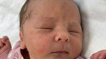 Sofie Zdeňková se narodila 19. listopadu ve 12.43 hodin mamince Monice Havlíčkové z Litvínova.  Měřila 48 cm a vážila 3,12 kg.