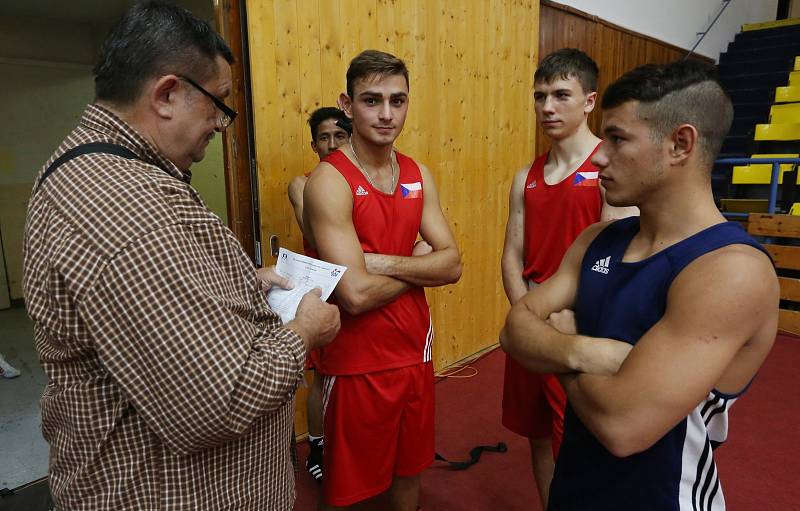 Velká cena Ústí nad Labem v boxu 2017, finálové zápasy