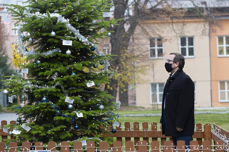 Rektor Balej rozsvítil Vánoční strom UJEP.