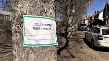 Před základní školou Vojnovičova v Ústí nad Labem se má vykácet alej padesát let starých lísek tureckých. Některým místním lidem se to nelíbí podepisují petici. Kácet se mělo začít v pondělí 14. března, nakonec to ČIŽP pozastavila.