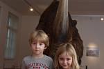 Navštívili jsme s dětmi výstavu Giganti doby ledové v Muzeu města Ústí nad Labem. Děti byly z prehistorických zvířat nadšené.