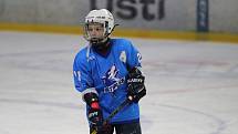 Hokej 7. tříd: Ústí - Teplice