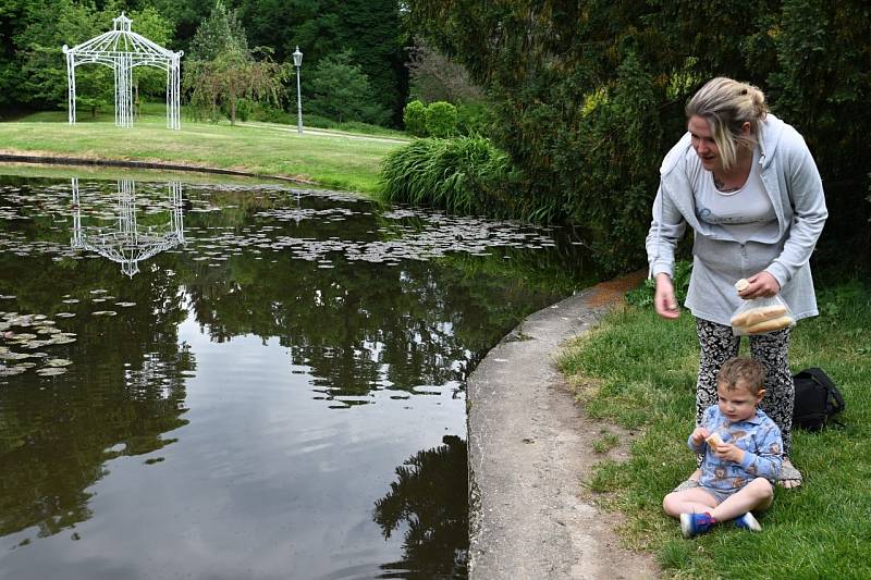 Zámecký park ve Velkém Březně je plný barev a vůní.