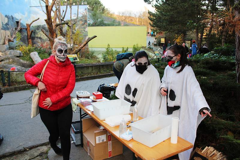 Ústecká zoologická zahrada byla strašidelná.