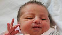 Nina Vargová se narodila v ústecké porodnici 6.9.2015 (4.18) mamince Kateřině Vargové. Měřila 48 cm, vážila 3,01 kg.