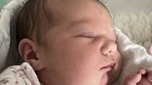 Eliška Petruželová se narodila 15. listopadu v 10.37 hodin mamince Jiřině Horákové. Měřila 52 cm a vážila 3,85 kg.