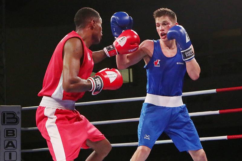 Velká cena Ústí nad Labem v boxu 2019.